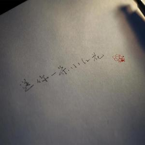 送你一朵小红花（警察版）cover 赵英俊（翻自 赵英俊）