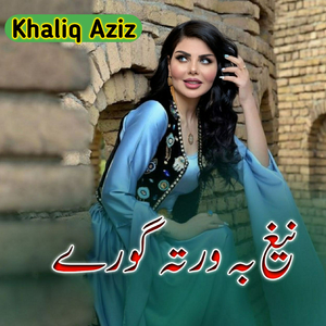 Negh Ba Warta Gory Pa Jargo Khabari Na Kegi