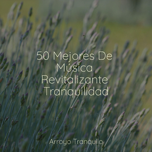 Perdidos En El Abismo Nebular