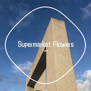 Supermarket Flowers