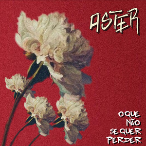 O Que Não Se Quer Perder