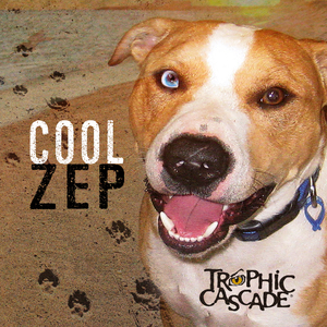 Cool Zep