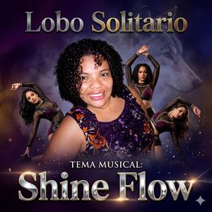 Shine Flow