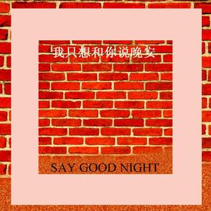 只想和你说晚安