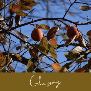 Glossary #6