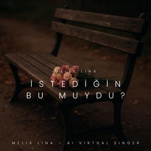 İstediğin Bu muydu?