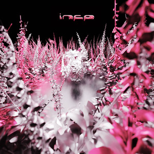 INFP(feat.ROOFBOI,HUASA)