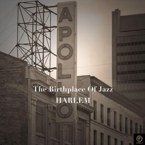 What Harlem Is to Me