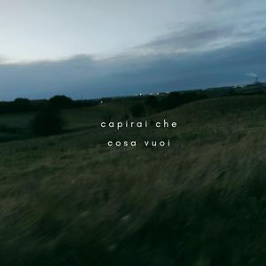 Sparisci / Fuorisede