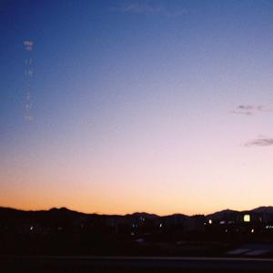 밤에 핀 해바라기