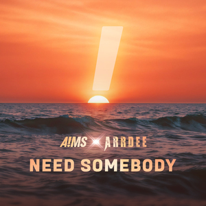 Need Somebody