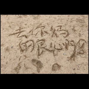 你为什么想谈恋爱