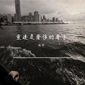 重逢是奢侈的奢求