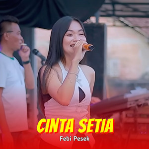 Cinta Setia