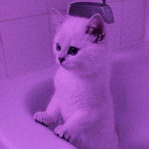 【FREE】Catchy