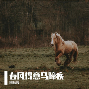 春风得意马蹄疾