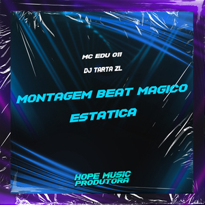 Montagem Interferência Estática