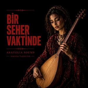 Bir Seher Vaktinde İndim Bağlara | Anadolu Türküsü | Anatolia Sound