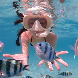 做我的猫 (圣诞特别版)