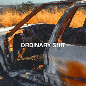 Ordinary Shit