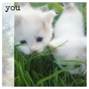 YOU