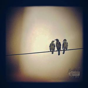 3 Birds, I'm Stoned (feat. Crook)