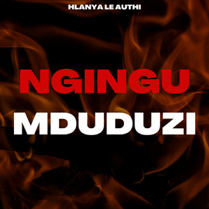 Ngingu Mduduzi