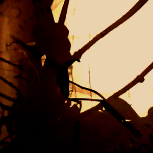 レニ・リーフェンシュタール