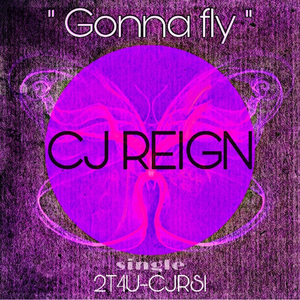 Gonna Fly (Re-Mastered Mix)