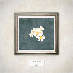 Wild Rose