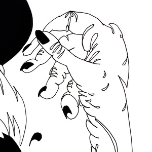 Where The River's Running Wild