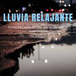 Duchas Relajantes Y Trinos Melódicos