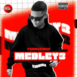 Forrozinho Medley3