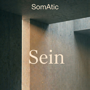 Sein