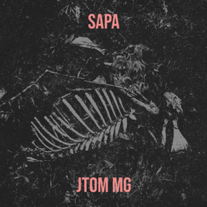 Sapa