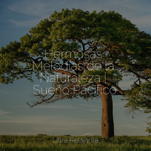 Burbujas En El Tiempo