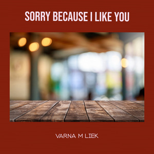 Sorry Because I Like You