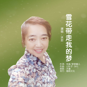 雪花带走我的梦