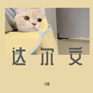 达尔文