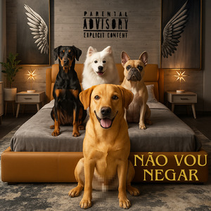 Não vou Negar