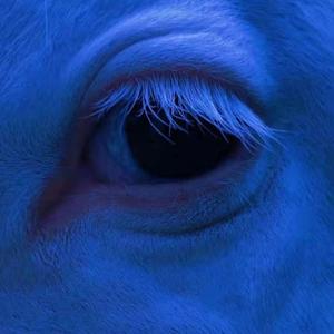 《心动》（伴奏来自黄林超）