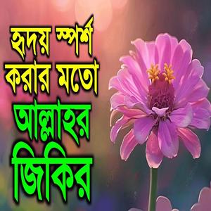 মন শান্তি করার মতো আল্লাহর জিকির। জিকির গুলি একবার শুনুন ভালো লাগবে ইনশাআল্লাহ।