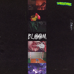 Bloom