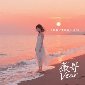 只有分手我说不出口