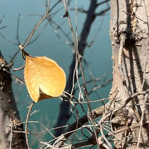 忘记你不是我的错