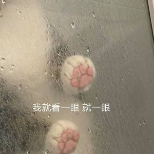 付雪-金玉良缘（NanNingDJXH remix）