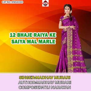 12 Bhaje Raiya Ke Saiya Mal Marle