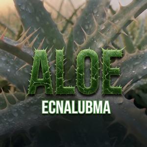 Aloe