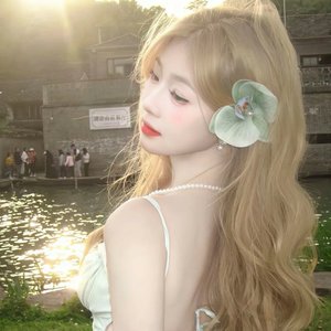 梨花雨（温柔女版）