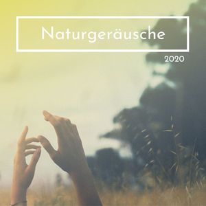 Natürliches Gleichgewicht